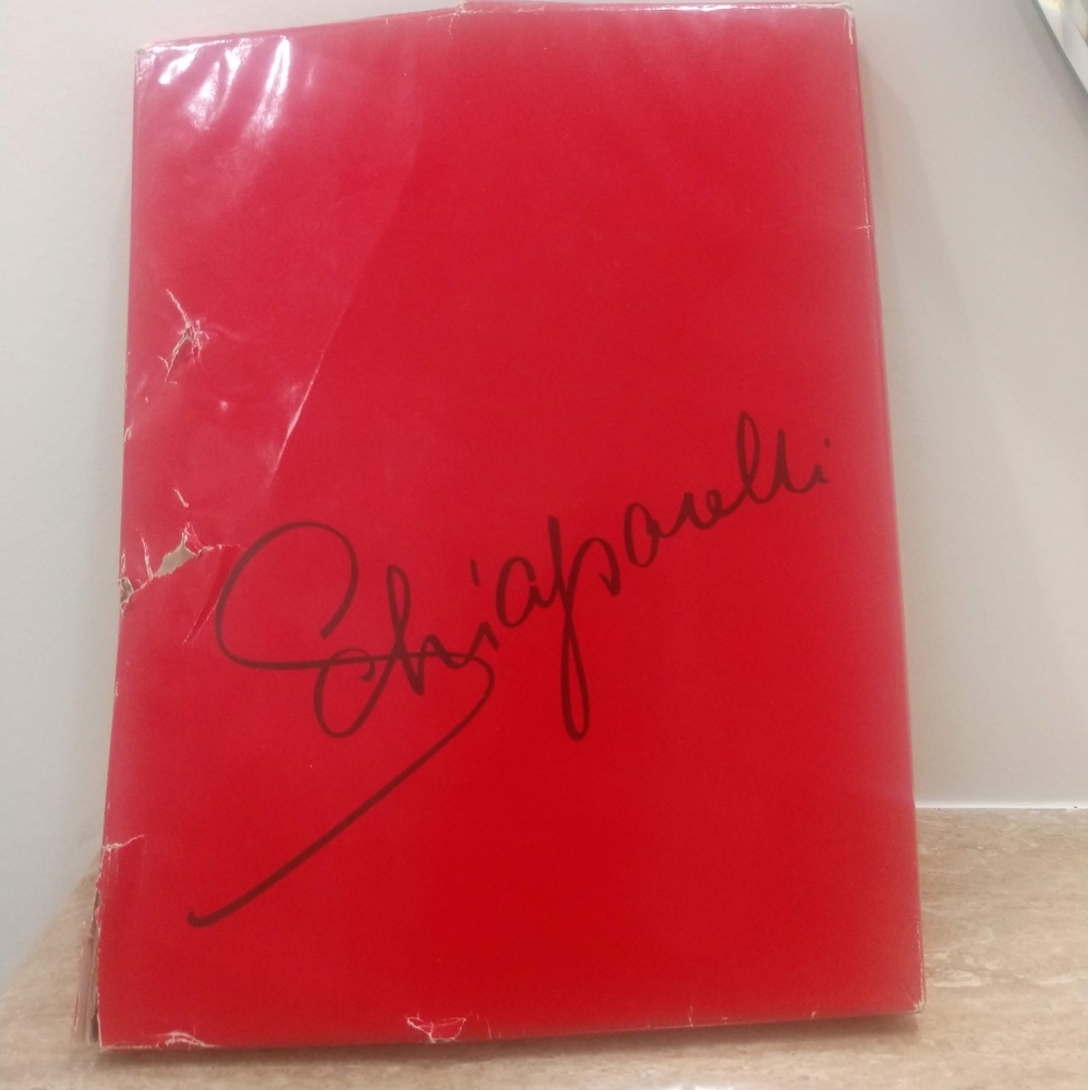 Schiaparelli Nylon Stockings Vintage